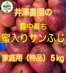 【ふるさと納税】 りんご 霧中育ち 蜜入り サンふじ 家庭用 5kg サイズおまかせ 井澤農園 エコファーマー 認定 減農薬栽培 化学肥料不使用 長野県 川上大窪谷 【 果物 フルーツリンゴ 林檎 信州 11000円 】【令和4年度収穫分】発送：2022年11月下旬〜 {**}･･･ 画像1