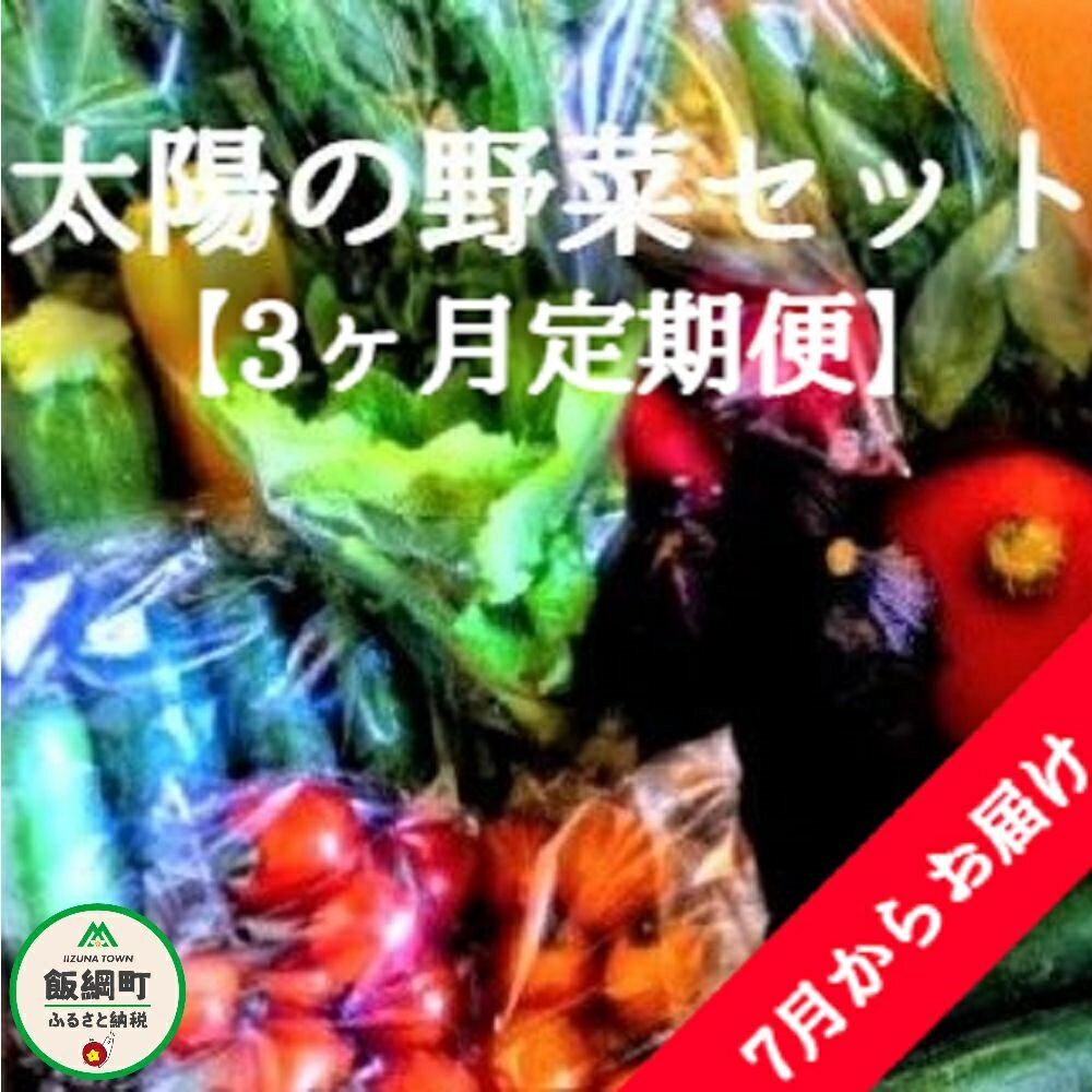 9750円 格安店 ふるさと納税 諫早市 2022年7月発送開始 定期便 諫早産野菜の詰め合わせ 8〜9品目 全3回 9750円 格安店 ふるさと納税 諫早市 2022年7月発送開始 定期便 諫早産野菜の詰め合わせ 8〜9品目 全3回