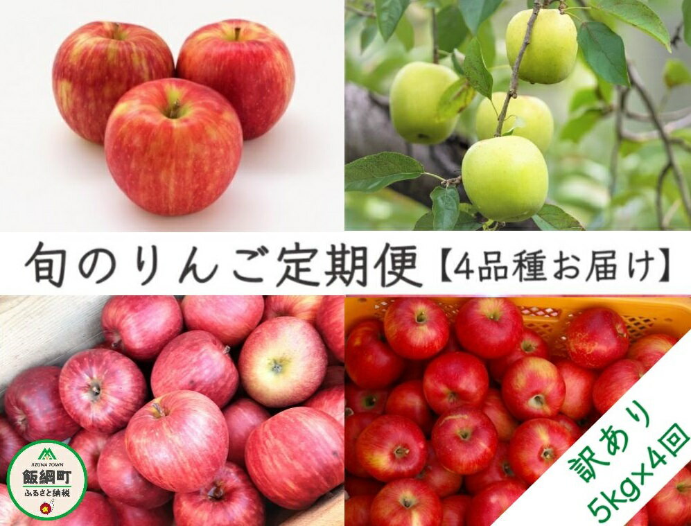 【ふるさと納税】【令和4年度収穫分】 旬のりんご【 4種 の 定期便 】 訳あり 5kg × 4回 BLOF理論栽培 ヤマハチ農園 【 4回 4品種 傷 不揃い りんご リンゴ 林檎 果物 フルーツ 信州 長野 】 発送：2022年9月上旬〜 {*}