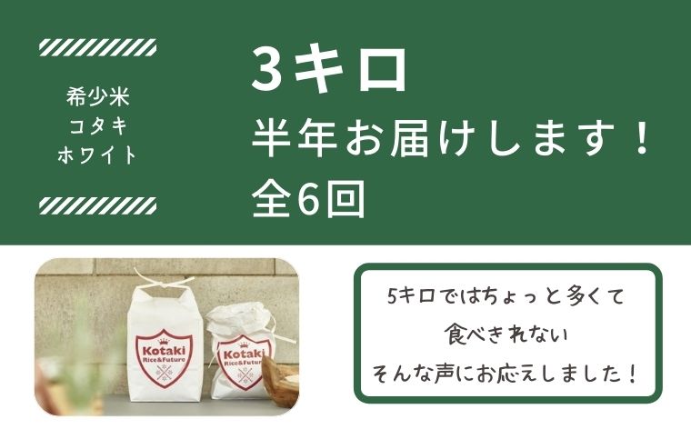 【ふるさと納税】≪令和7年産≫毎月ちょうどいい量をお届けます!希少米コタキホワイト3kg毎月お届け(6回)