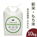 【ふるさと納税】【数量期間限定】もち米・新米(令和5年産)栄村産厳選こがねもち 10kg 予約受付開始！少量ですが、楽天ふるさと納税用に特別に用意しました。