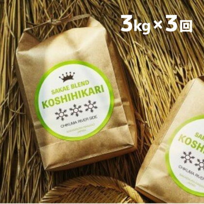 ついに出ました厳選米サカエブレンド定期便 限定発売！毎月ちょうどいい量をお届けます!白米3kg毎月お届け(全3回計9kg)