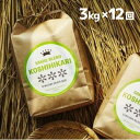 14位! 口コミ数「0件」評価「0」ついに出ました厳選米サカエブレンド定期便 限定発売！毎月ちょうどいい量をお届けます!白米3kg毎月お届け(全12回計36kg)