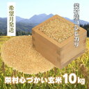 21位! 口コミ数「0件」評価「0」【希望月発送】美味しい玄米でお届け！栄村産コシヒカリ最高評価特A米「心づかい」10kg（令和6年産）