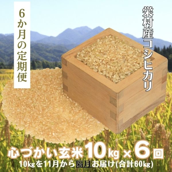 【ふるさと納税】【定期便・玄米隔月発送】11月から発送！栄村