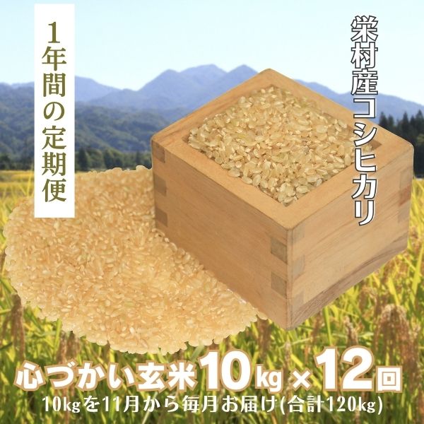 【定期便・1年間玄米発送】栄村産コシヒカリ最高評価特A米「心づかい」10kg×12回 (令和6年産)