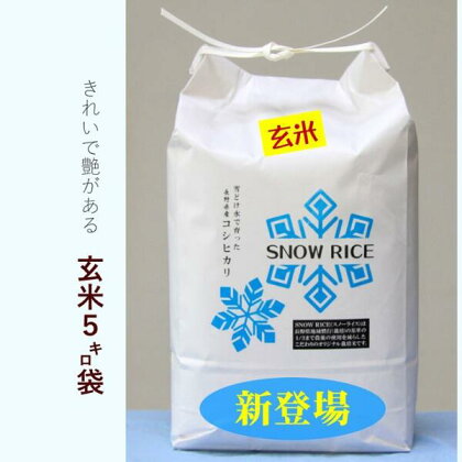 【定期便】令和5年産減農薬コシヒカリ「SNOW RICE」玄米＜毎月5kg×12か月＞