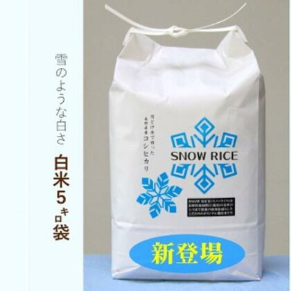 【定期便】令和5年産減農薬コシヒカリSNOWRICE 白米＜毎月5kg×12か月＞