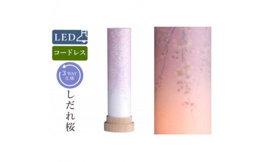 盆提灯 白紋天 しだれ桜 コードレス LED