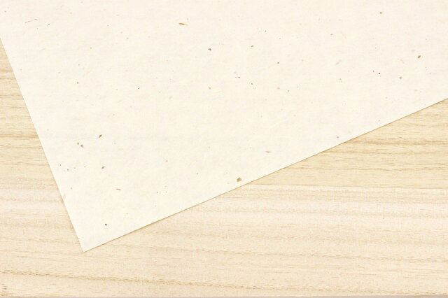 【ふるさと納税】美濃雁皮塵入り和紙 名入れ便箋