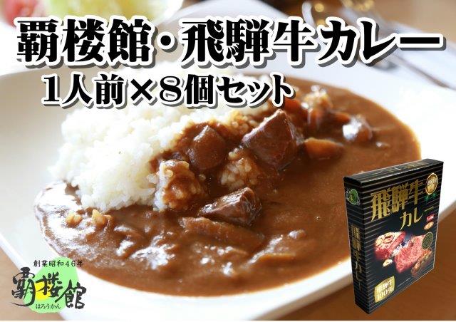 覇楼館・飛騨牛カレー1人前(250g)×8個セット