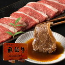 飛騨牛 【ふるさと納税】飛騨牛カルビ焼肉500g