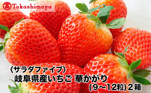 【ふるさと納税】【高島屋コラボ企画】〈サラダファイブ〉岐阜県産いちご 華かがり(9～12粒)2箱