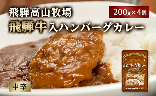 飛騨牛入ハンバーグカレー 200g 4個