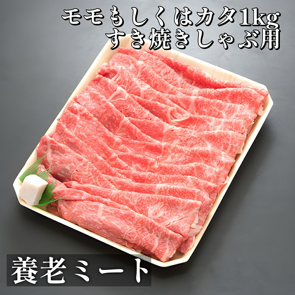 【ふるさと納税】飛騨牛 モモもしくはカタ 1kg (すき焼き・しゃぶしゃぶ用)のサムネイル