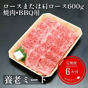 【ふるさと納税】6ヶ月定期便 飛騨牛 ロースまたは肩ロース 600g 焼肉・BBQ用