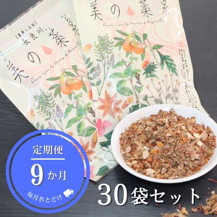 【ふるさと納税】【9ヵ月定期便】長良川温泉 薬用入浴剤「美の薬泉」30袋【医薬部外品】