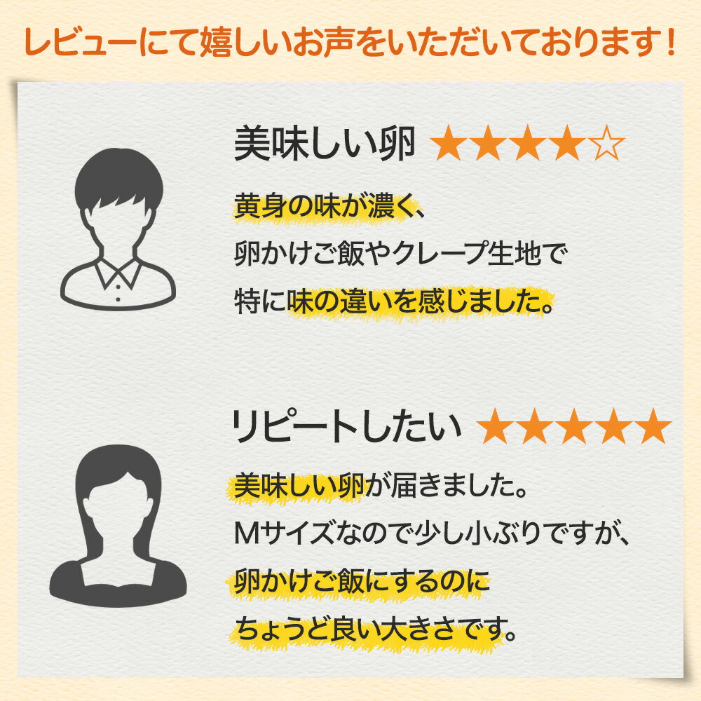 【ふるさと納税】【3ヵ月定期便】岐阜産こだわり産みたて卵 30個入りMサイズ【醍醐卵】