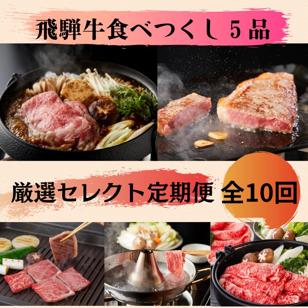 飛騨牛 食べつくし 厳選セレクト定期便 全10回 サーロイン ロース モモ 切り落とし ステーキ すきやき しゃぶしゃぶ