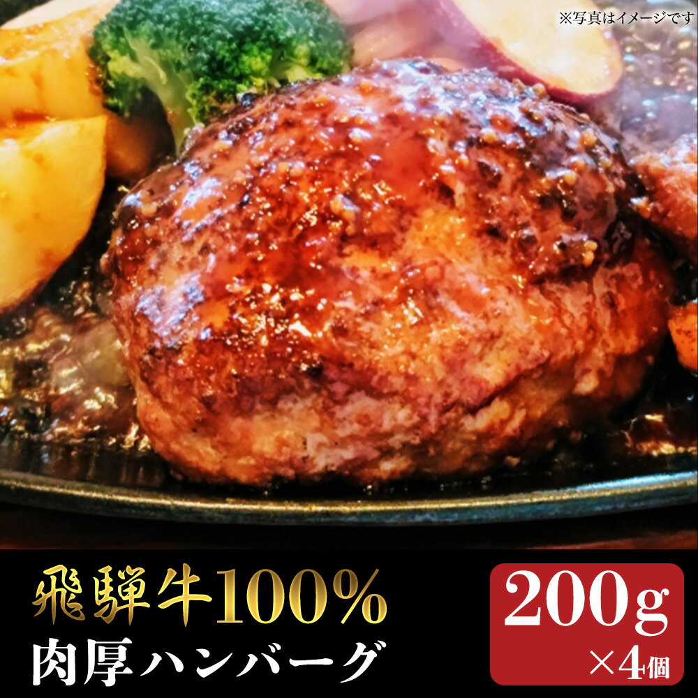 【飛騨牛】生ハンバーグ（200g×4枚）【5月発送分】