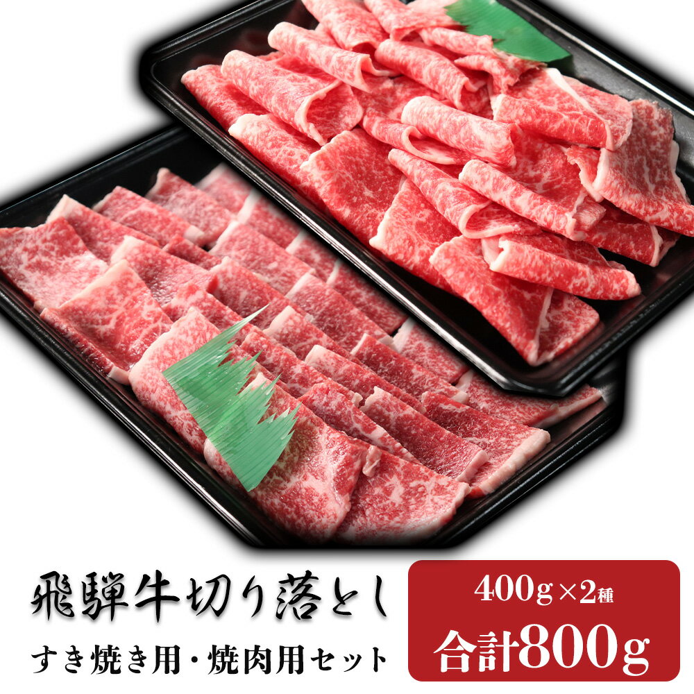 【お中元】 飛騨牛 切り落とし すき焼き 切り落とし 焼肉 各400g 計800g