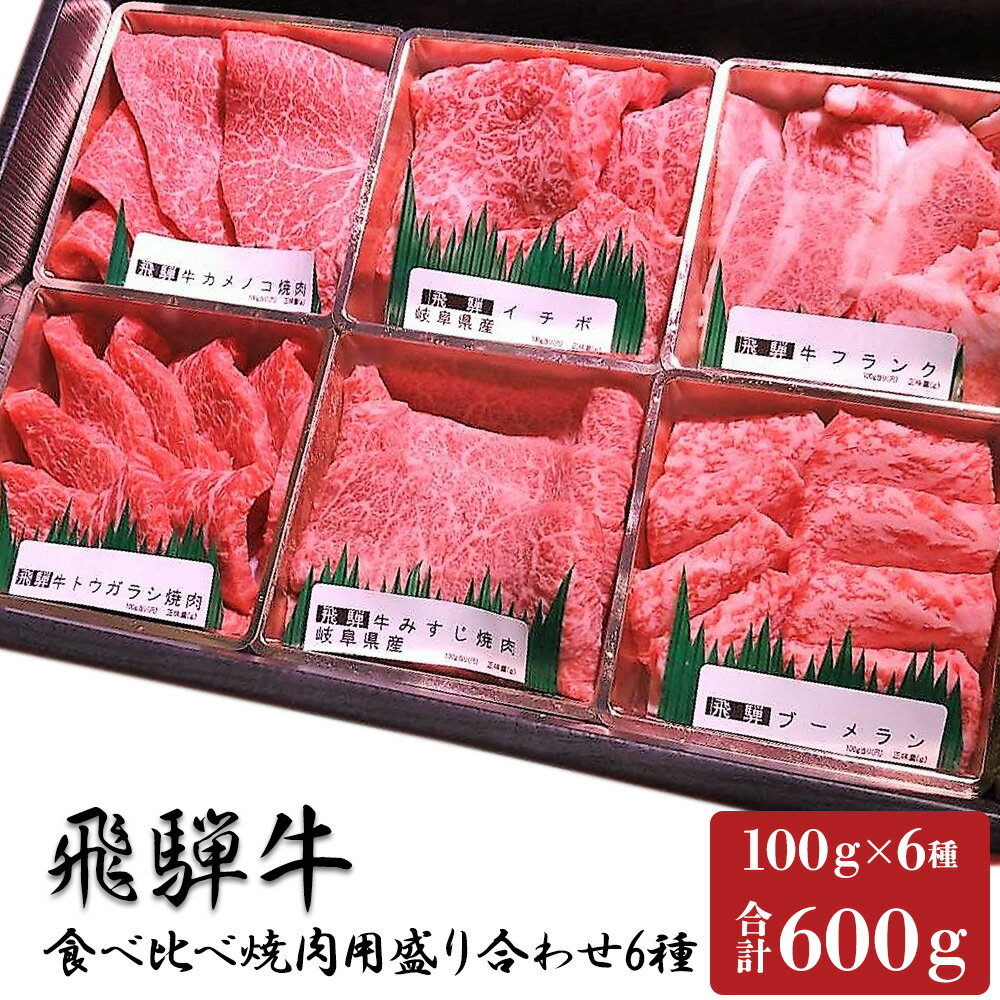 飛騨牛 焼肉 食べ比べ 6種 各 100g 計 600g ミスジ ヒウチ フランク カイノミ イチボ トウガラシ カメノコ 送料無料 国産 牛肉 黒毛和牛 お取り寄せ お取り寄せグルメ 最高級 冷凍