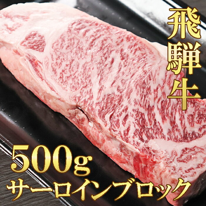 飛騨牛 サーロイン ブロック 500g