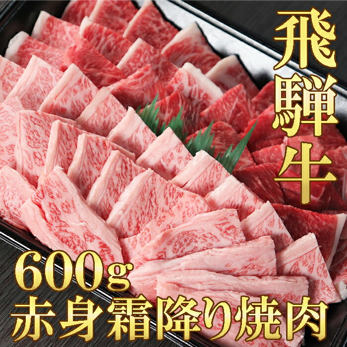 飛騨牛 【ふるさと納税】 飛騨牛 赤身 モモ カタ 霜降り バラ 焼肉 各300g 計600g