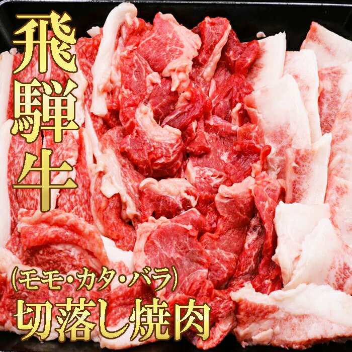 【お中元】 飛騨牛 赤身 霜降り MIX 切り落とし 焼肉 モモ カタ バラ 500g