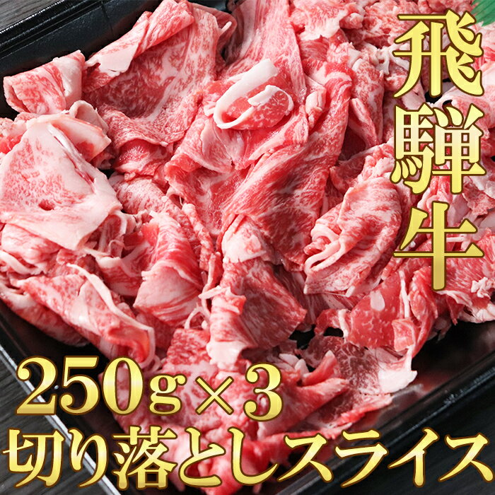 飛騨牛 切り落とし スライス 250g×3