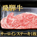 【ふるさと納税】 飛騨牛 サーロインステーキ 1枚 計280g