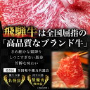 【ふるさと納税】【3ヶ月定期便】A5等級飛騨牛焼き肉用1.2kg ロース又は肩ロース肉 2