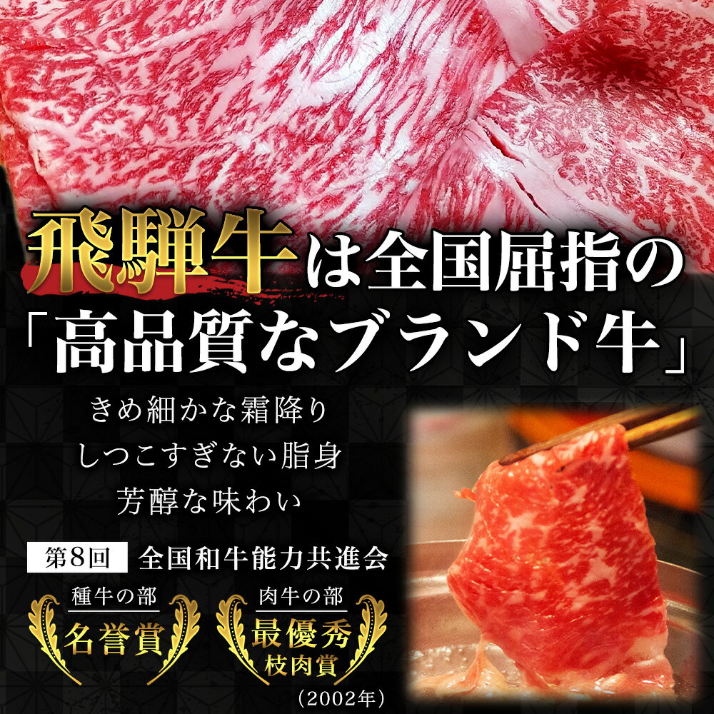 【ふるさと納税】【12ヶ月定期便】A5等級飛騨牛サーロインステーキ用600g