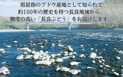 【ふるさと納税】 長良ぶどう　デラウエア 約2kg【2024年7月末～8月発送】