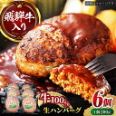 【ふるさと納税】飛騨牛 生ハンバーグ(200g×6個)/ 飛騨牛 ひだぎゅう ハンバーグ はんばーぐ 牛肉 100% 手ごね 特大 国産牛 冷凍 和牛 岐阜市/...
