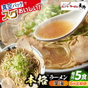 【ふるさと納税】【6回定期便】岐阜老舗ラーメン店天外 醤油ラーメン5食セット 簡単調理 自宅で本格ラーメン 主婦応援 真空パック お取り寄せ ご当地 グルメ 岐...