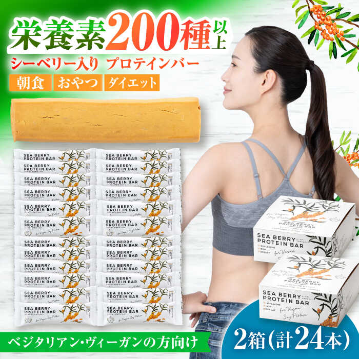 【ふるさと納税】プロテインバー サジープロテインバー 2箱(24本入り)サジーとソイプロテインの低糖質バー 動物性不使用 保存料不使用 毎日の栄養バランス サジ...