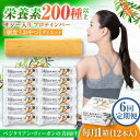 【ふるさと納税】【6回定期便】プロテインバー サジープロテインバー 1箱 サジーとソイプロテインの低糖質バー 動物性不使用 保存料不使用 毎日の栄養バランス サ...