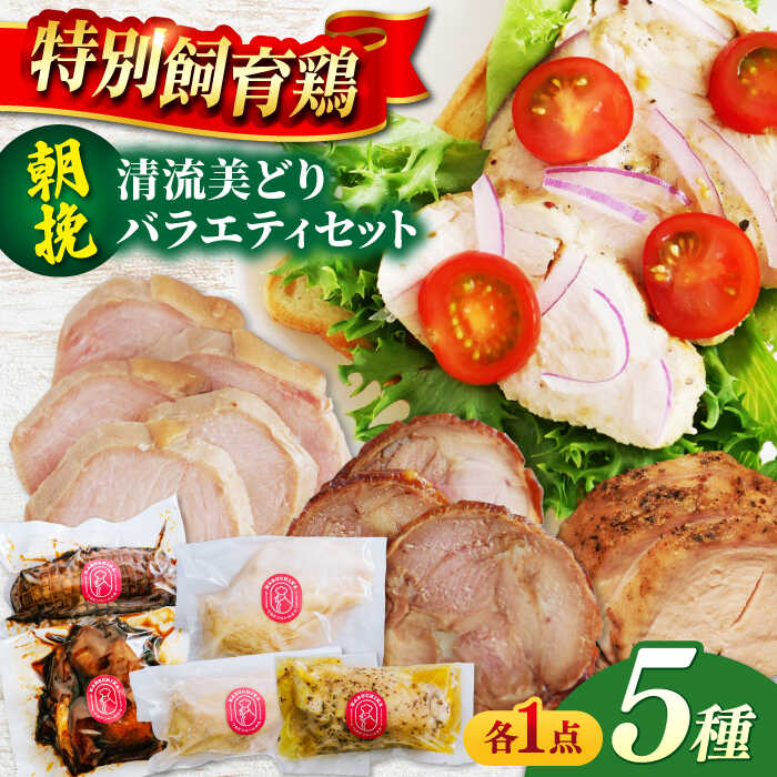 楽天岐阜県岐阜市【ふるさと納税】朝挽き 清流美どり バラエティ5点セット 鶏肉 若鶏 お取り寄せ 岐阜市/若鶏の春近[ANDL007]