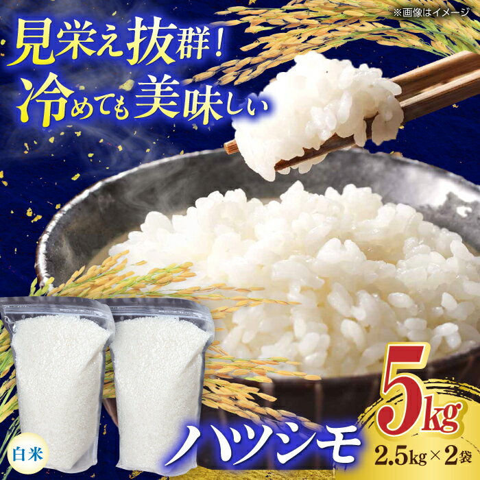 【ふるさと納税】【令和7年産】米 岐阜市産 ハツシモ 白米 5kg【2.5kg×2P】 お米 コメ 5キロ 米 こめ ごはん ご飯 精米 単一原料米 2025年...