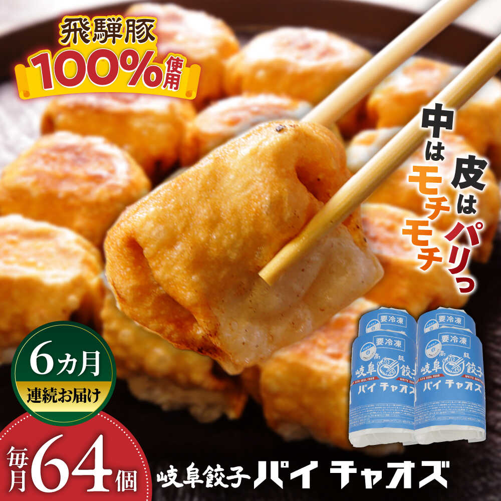 【ふるさと納税】【6回定期便】餃子 岐阜餃子64個入り(パイチャオズ) ぎょうざ 冷凍餃子 中華 おかず 夕食 焼き餃子 揚げ餃子 岐阜 セット 詰め合わせ 飛...