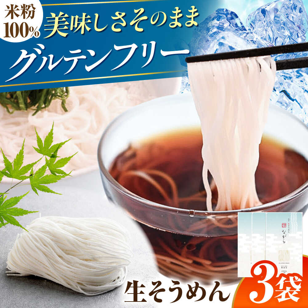 【ふるさと納税】【グルテンフリー】そうめん 細くてもしっかりコシ！ 米粉生そうめん 無添加 グルテン..