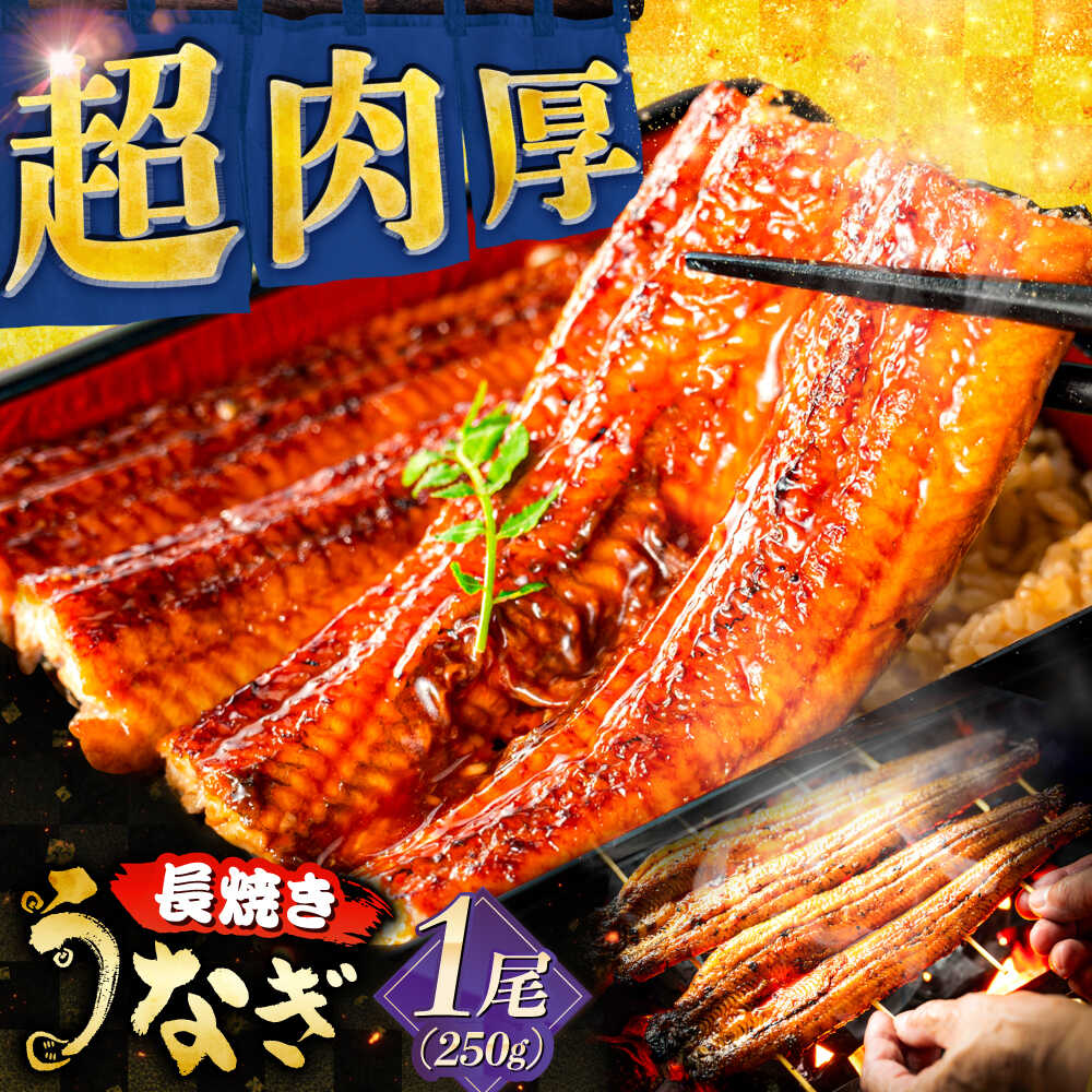 【ふるさと納税】鰻 国産うなぎの長焼き 1尾 鰻 たれ 肉厚 うなぎ 国産長焼きうなぎ ウナギ 三河一色産 備長炭 手焼き 職人 炭火焼き うな重 うな丼 蒲焼...