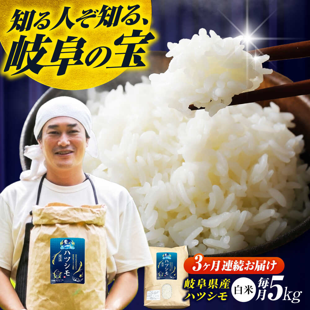 [3回定期便]岐阜県産米ハツシモ「藍の燈」5kg ハツシモ はしつも 白米 精米 米 こめ ごはん コメ 5kg 5キロ 定期 定期便 米定期便 岐阜市 / 藍川ファーム [ANHI003]