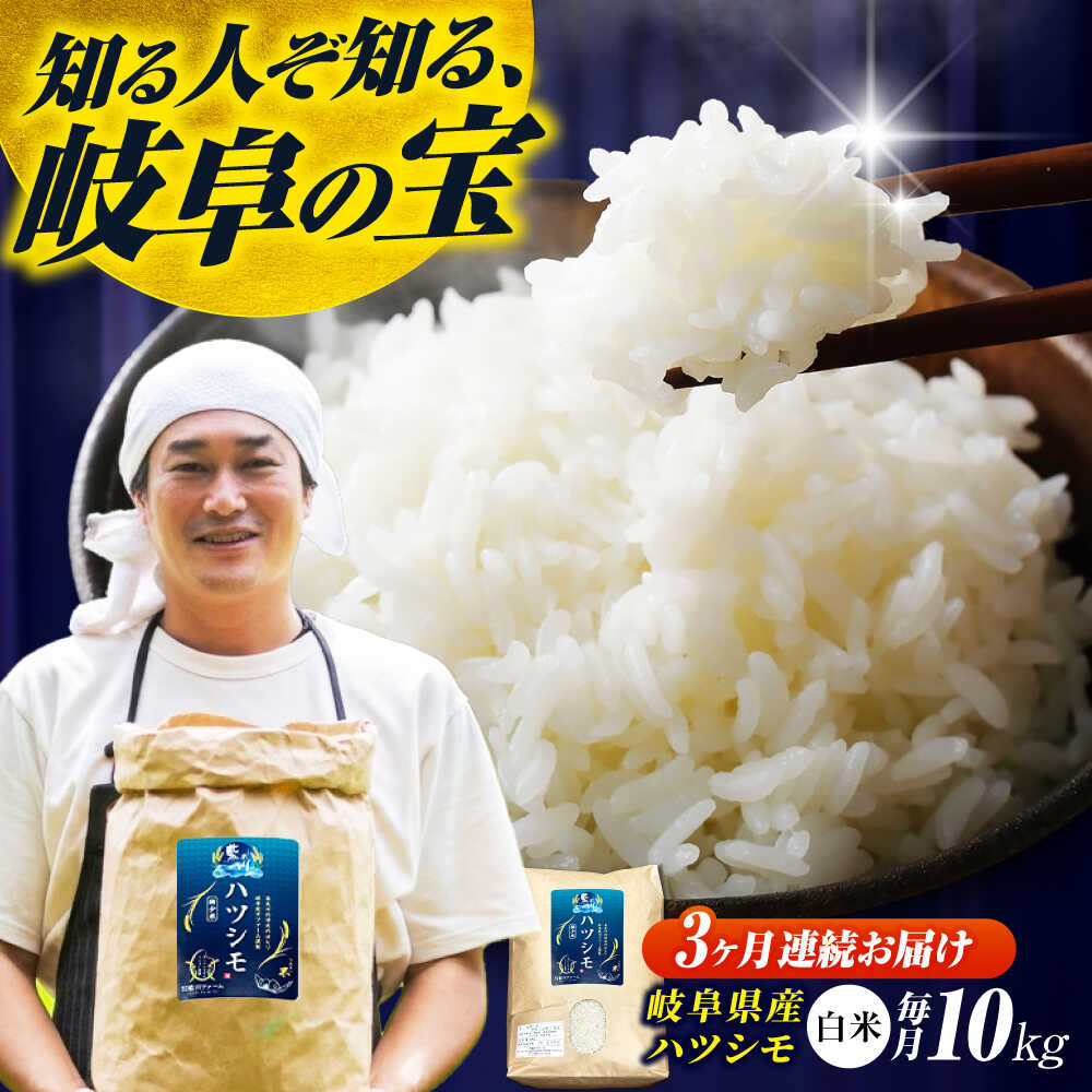 [3回定期便]岐阜県産米ハツシモ「藍の燈」10kg ハツシモ はしつも 白米 精米 米 こめ ごはん コメ 10kg 10キロ 定期 定期便 米定期便 岐阜市 / 藍川ファーム [ANHI005]
