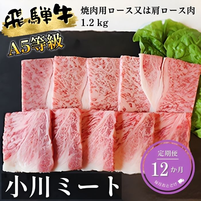 【ふるさと納税】【12ヶ月定期便】A5等級飛騨牛焼き肉用1.2kg　ロース又は肩ロース肉