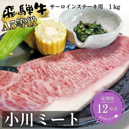 【12ヶ月定期便】A5等級飛騨牛サーロインステーキ用1kg