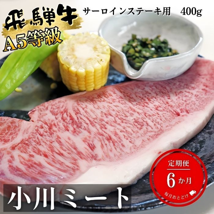 【6ヶ月定期便】A5等級飛騨牛サーロインステーキ用400g