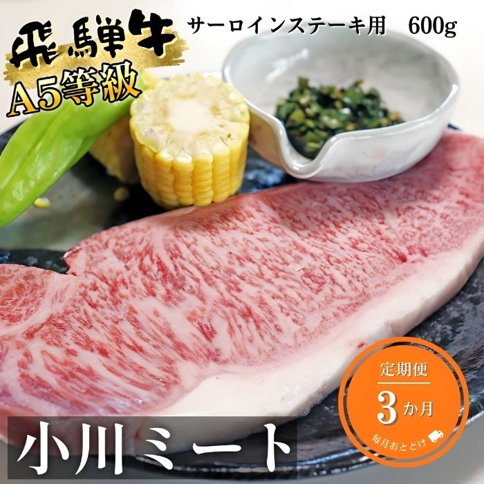 【3ヶ月定期便】A5等級飛騨牛サーロインステーキ用600g