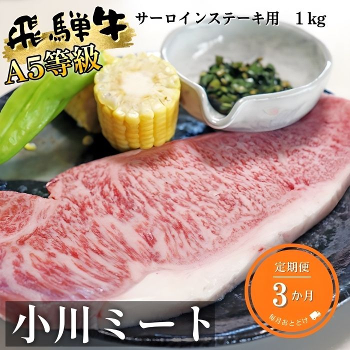 【3ヶ月定期便】A5等級飛騨牛サーロインステーキ用1kg